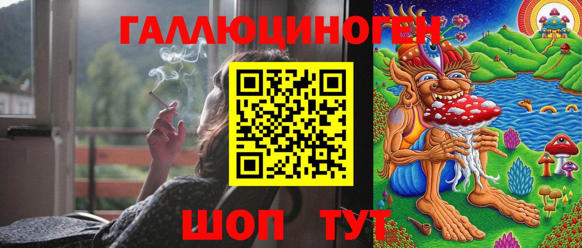 Галлюциногенные грибы Psilocybine cubensis  Вход с VPN  Псилоцибиновые грибы Psilocybe  Славгород 