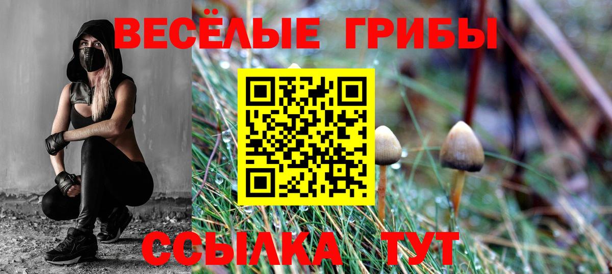 Псилоцибиновые грибы Magic Shrooms Славгород