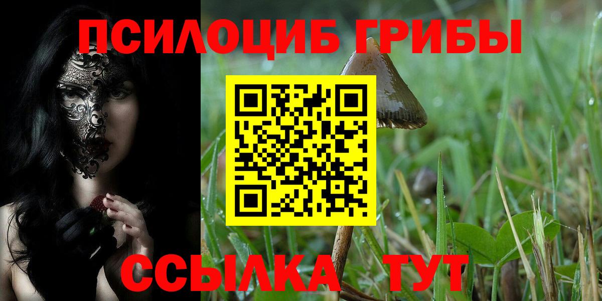 А ПВП Славгород