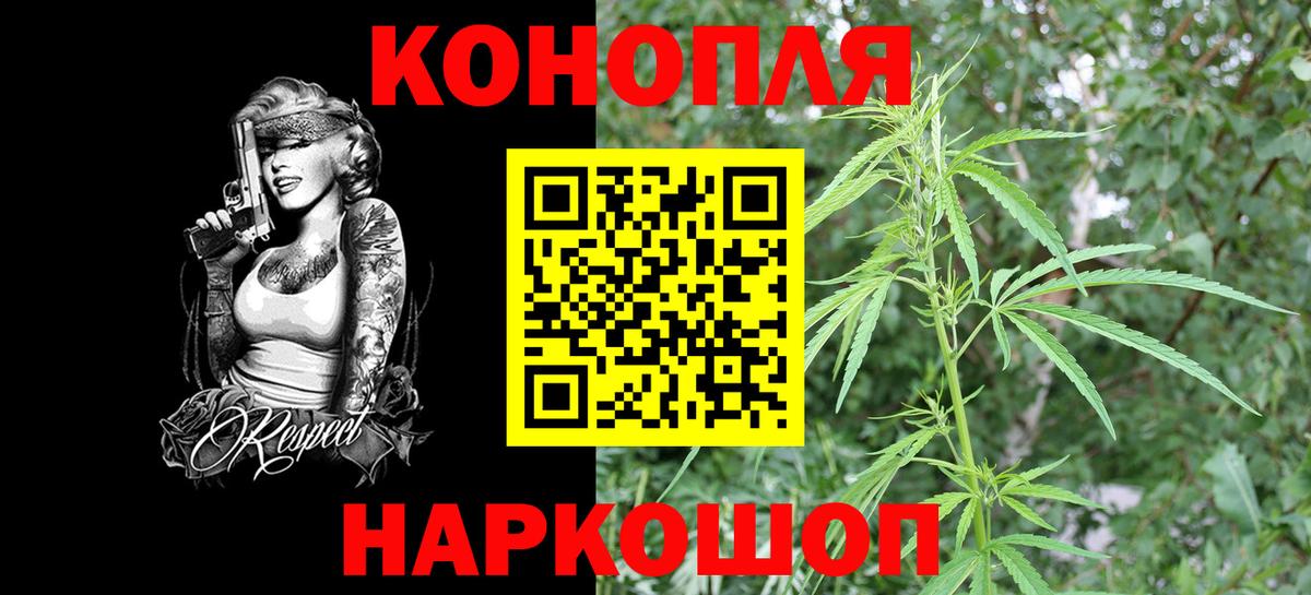 Шишки марихуана сатива  Конопля семена  Вход с VPN  Славгород  Бошки марихуана семена 